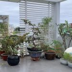  60m2 - 6