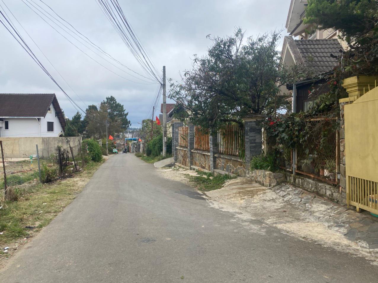 Bán đất mặt tiền đường Vạn Hạnh Phường 8 Đà Lạt