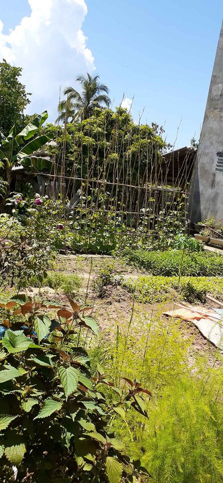 Gđ cần bán mảnh đất tổ 8 phường Thanh Trường TP Điện Biên Phủ