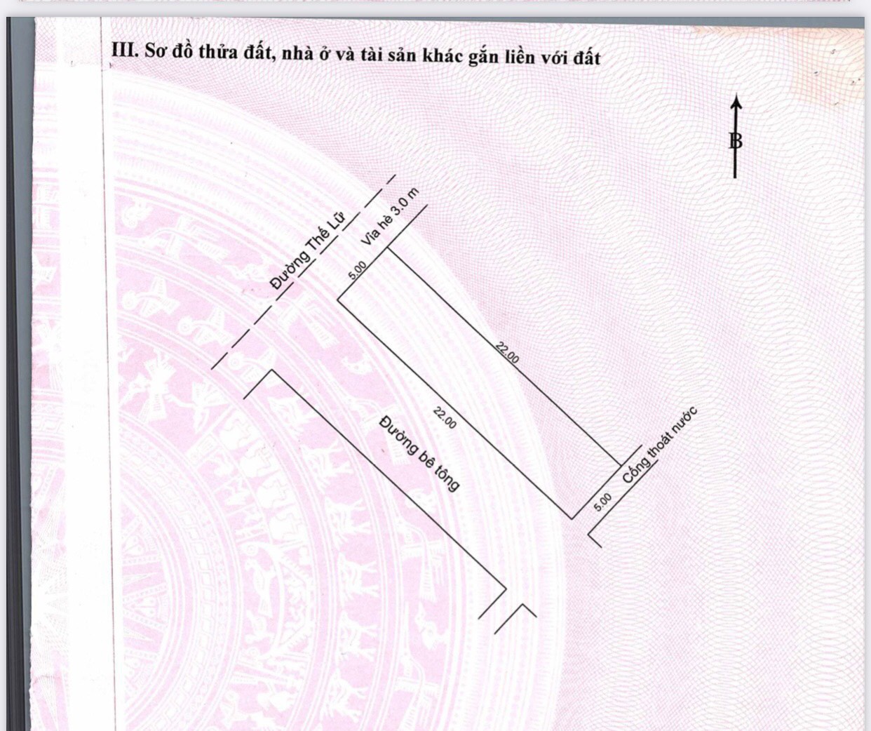 Bán gấp ngôi nhà cấp 4 2MT tại đường Thế Lữ, Sơn Trà giá siêu hấp dẫn
