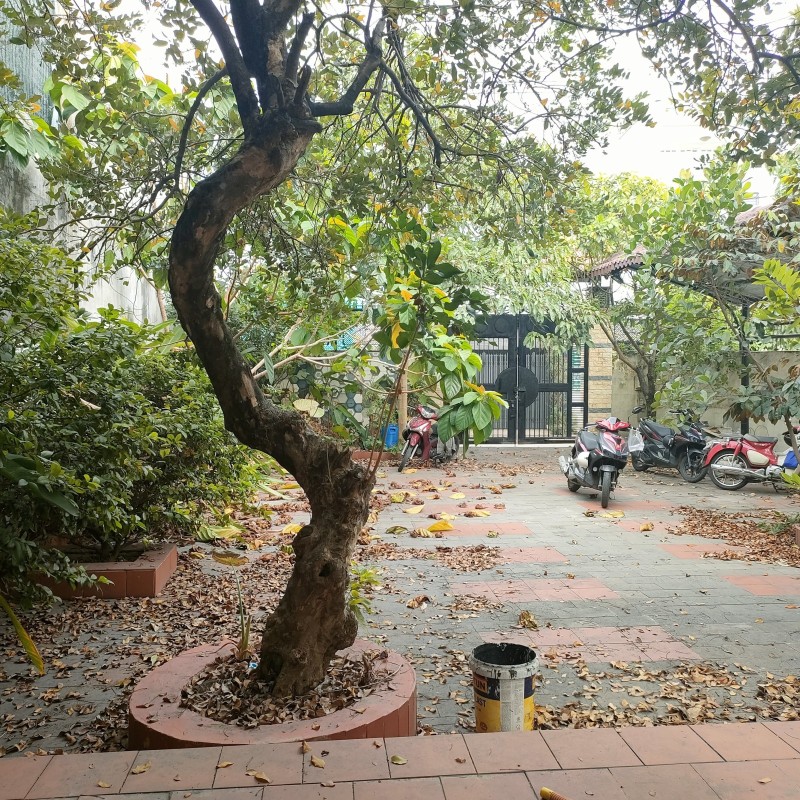 Mặt Tiền KD khủng Đường số 1 Linh Xuân , 10,5 X 52m, Giá 18 tỷ 5 TL