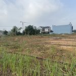  100m2 - 4