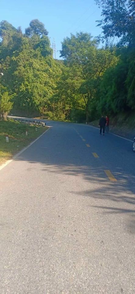 Bán đất bám mặt đường QL 12 thuộc xã Thanh Chăn, huyện Điện Biên.