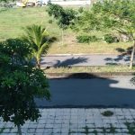  100m2