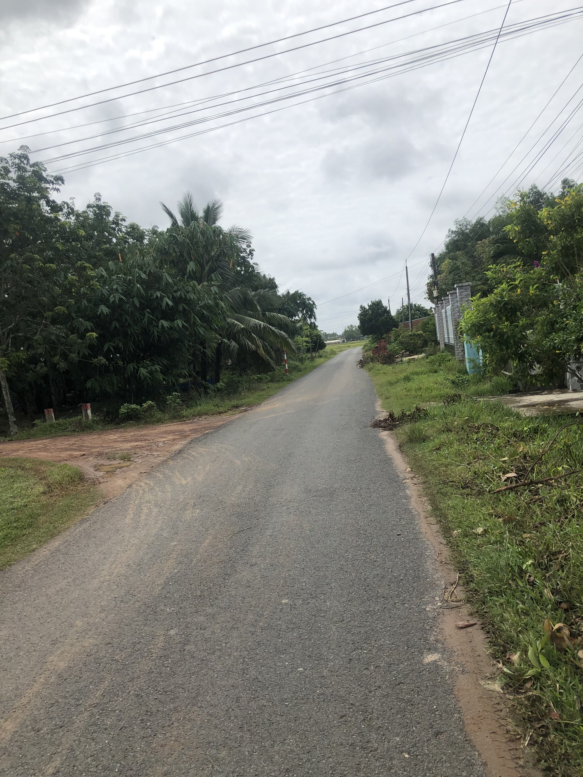 Bán Đất Thổ Cư 5x20 Cây Xoài, Thanh Phước Gò Dầu Tây Ninh