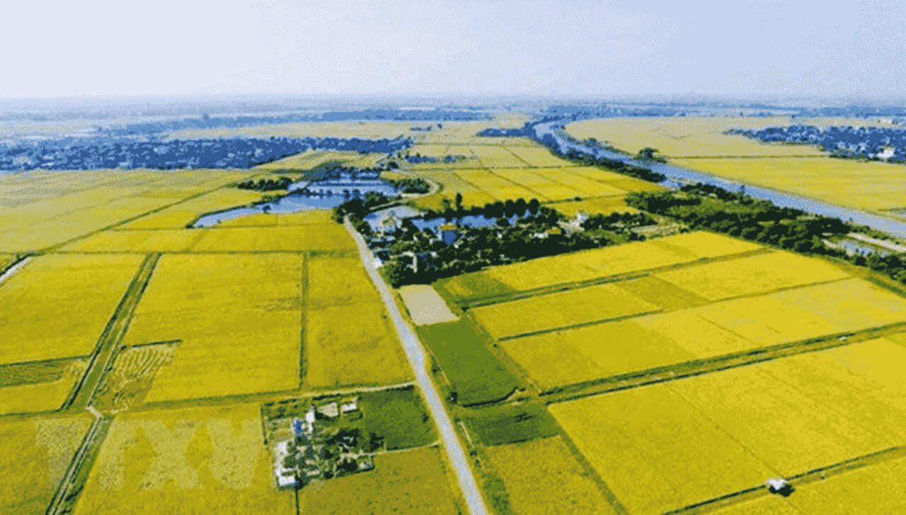 Dat-phi-nong-nghiep-la-gi