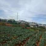  13000m2 - 5