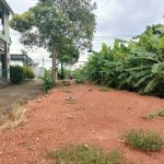  1000m2 - 3