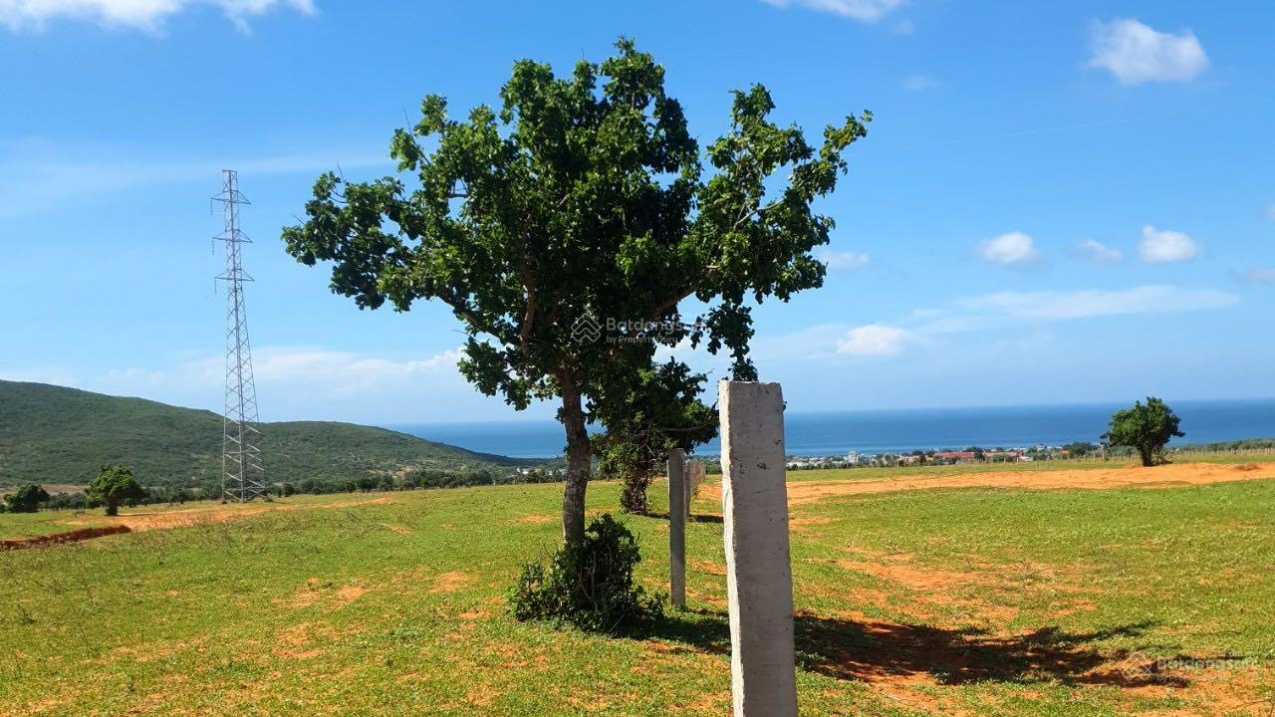 Bán 1.1ha view biển đường 716, Hoà Thắng