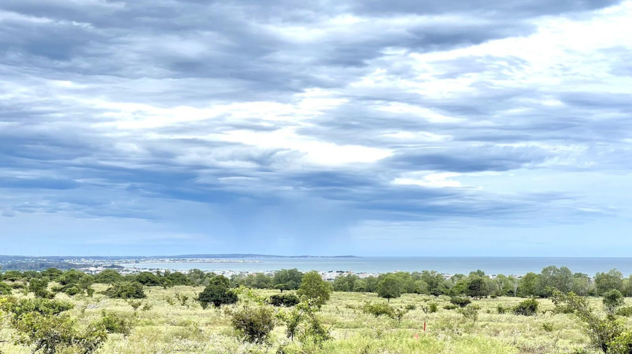 Bán 1.1ha view biển đường đôi 716B Hoà Thắng