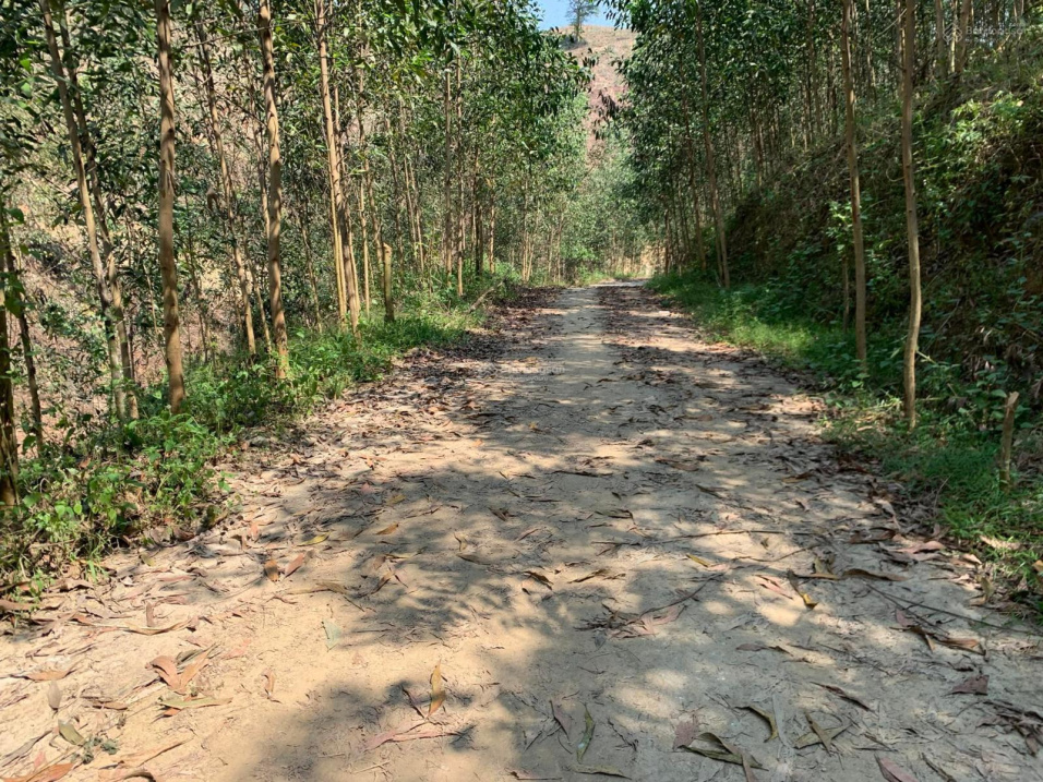 Bán 11ha đường bê tông thị trấn Khánh Vĩnh giá rẻ, LH 0788 558 552