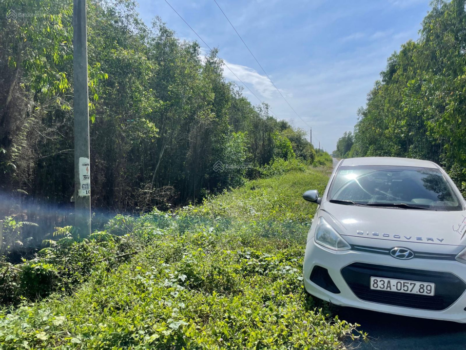 Bán 1,2 ha mặt tiền 130m nhựa QL62 300m cặp lộ và kênh vuông vức. L/h 0909 480 087