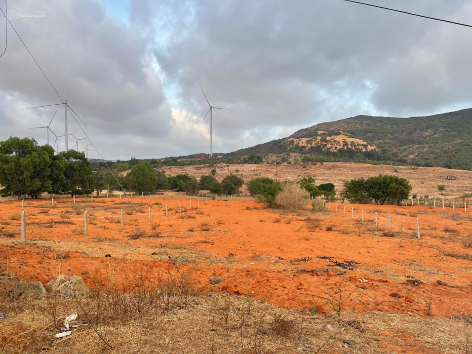 Bán 2000m2 mặt đường 716. Hoà Thắng