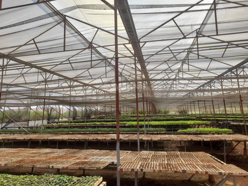 Bán 2,2 sào đất có 224m2 thổ tại Tu Tra, đất đẹp nở hậu, cách TT Thạnh Mỹ 6km, đường rộng 4 tỷ 5 TL