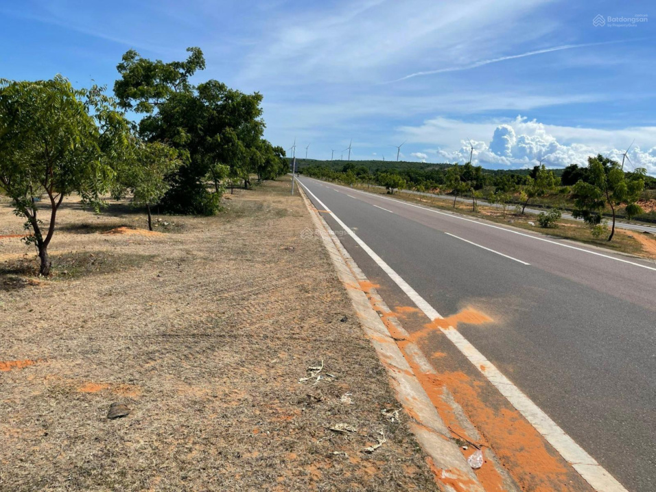 Bán 2579m2 view biển đường DT716B Hoà Thắng Hoà Phú