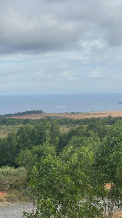 Bán 2ha Hồng Phong sau lưng Apec Mũi Né gần Novaworld Mũi Né