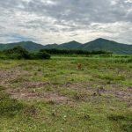  3000m2 - 4