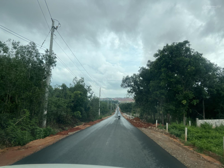 Bán 4578.8m2 đất mặt tiền đường nhựa Tiến Bình. Tiến Thành gần dự án NovaWorld