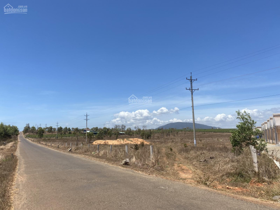 Bán 4ha đất mặt tiền Hòn Dồ Thuận Minh, Thuận Quý, Hàm Thuận Nam, Bình Thuận