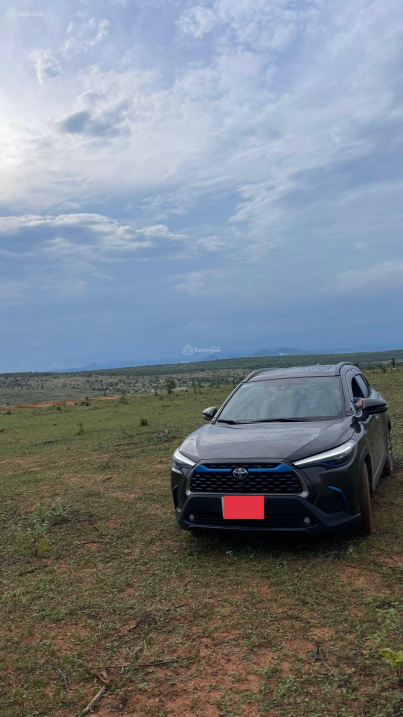 Bán 4ha đường 716, Hoà Thắng xung quanh nhiều trang trại farmstay