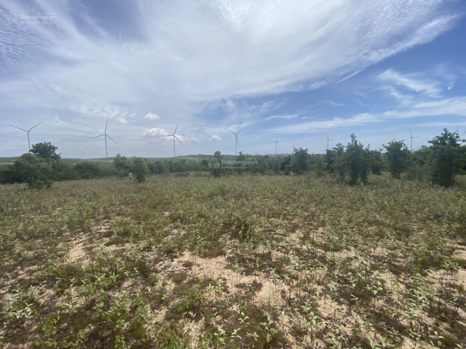 Bán 5308m2 đất đường 711, Hồng Phong, Bắc Bình gần Marina Mũi Né