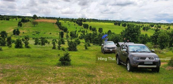 Bán 5915m2 đất nông nghiệp 2 mặt tiền đường xã Hồng Thái tổng giá chỉ 831 triệu