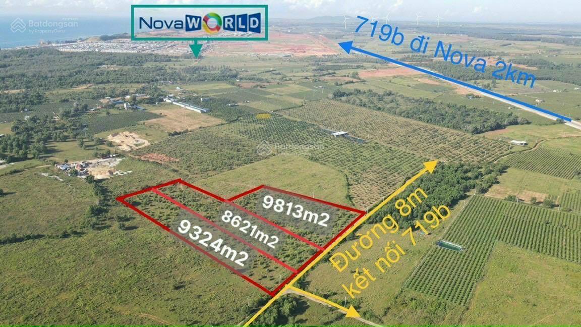 Bán 8622m2 đường 719B, Tiến Thành