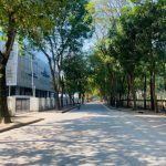  250m2 - 5