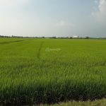  620m2 - 3