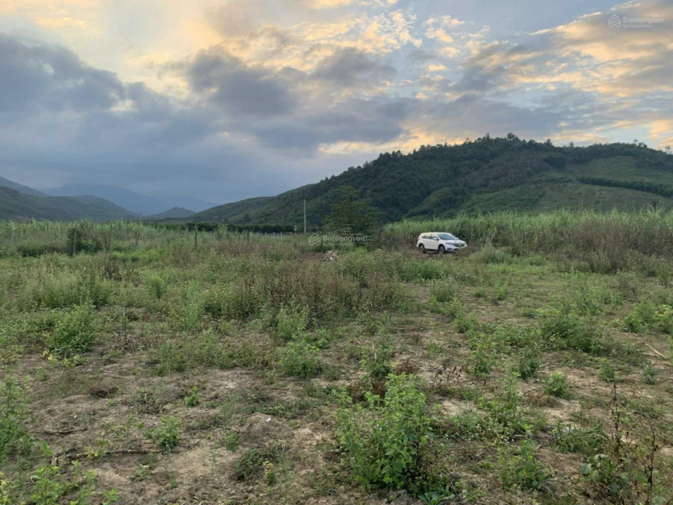 Bán đất 20.000m2 đường bê tông gần uỷ ban xã Khánh Phú giá rẻ LH 0788 558 552