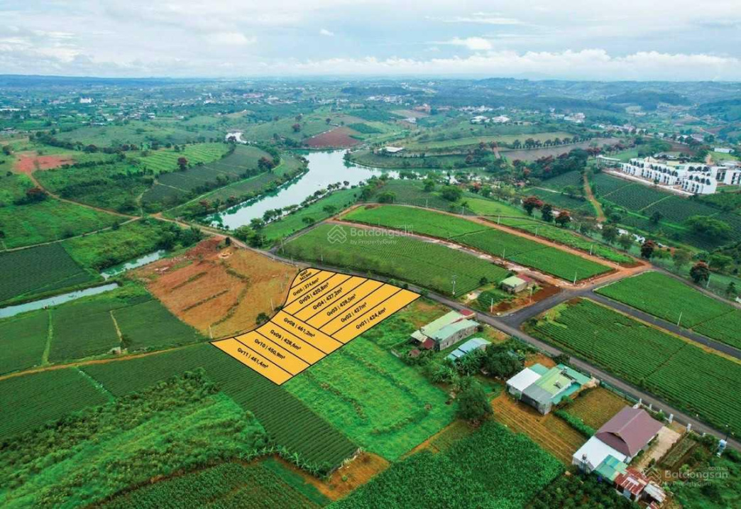 Bán đất Bảo Lâm. Tiềm năng đầu tư và nghỉ dưỡng cực kì lớn, sỡ hữu ngay chiết khấu khủng. SHR