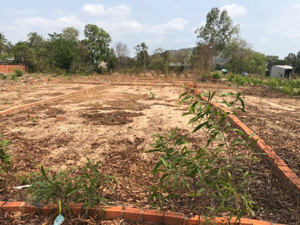 Bán đất Châu Đức, đối diện KCN Châu Đức, 7x20=140m2, TC 100m2 SHR. Sinh lời lên tới 30%/ năm