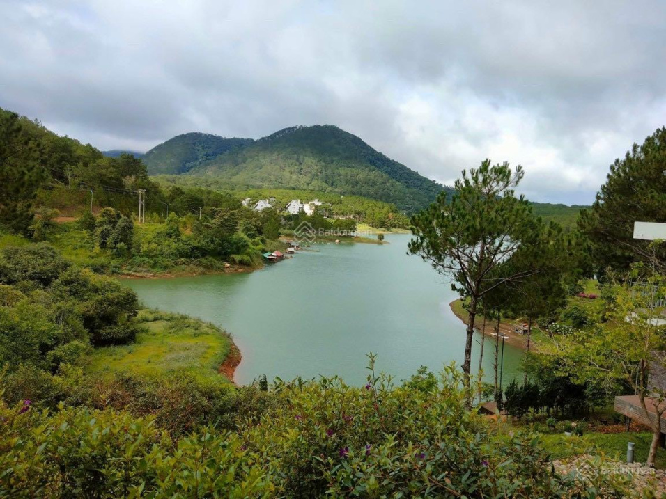 Bán đất Lạc Dương sổ sẵn sang tên. Đất xây dựng view đồi thông giá rẻ