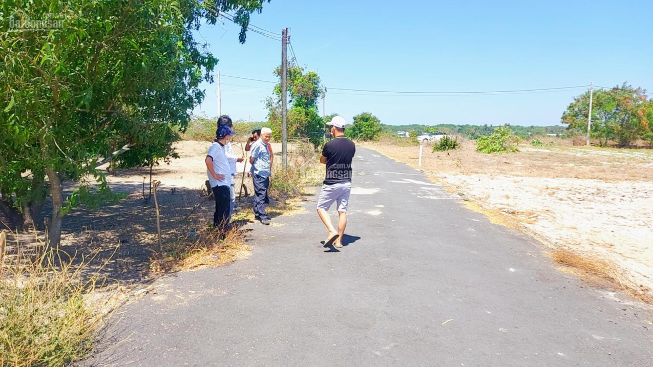 Bán đất Phước Hội, Đất Đỏ, Bà Rịa Vũng Tàu, DT 520m2