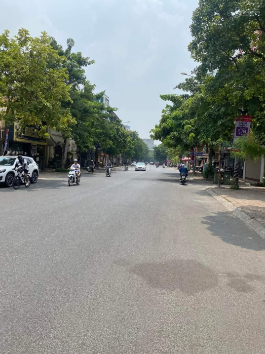 Bán đất Thành Trung, Gia Lâm, DT 166m2, kinh doanh, ô tô tránh, vỉa hè, giá 12,x tỷ, LH 0777 228 882