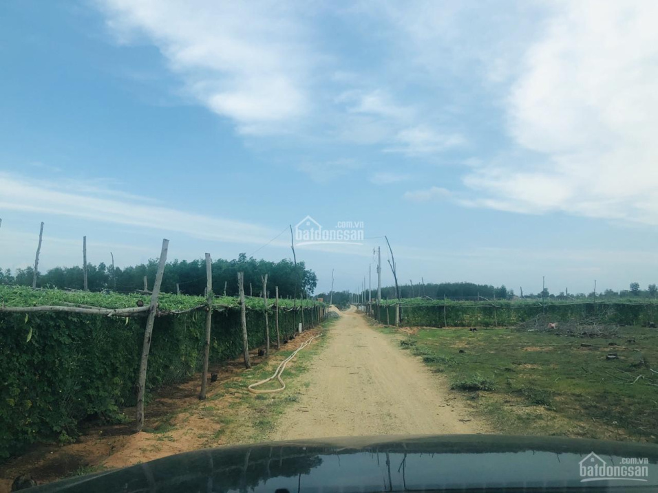 Bán đất Thiện Nghiệp đường 715, Trần Bình Trọng, Hồ Quang Cảnh, Bàu Me LH 0986 707 476