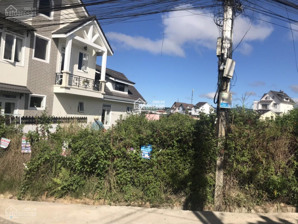 Bán đất của tôi view nhìn villa đồi thông. Liên hệ 0901 844 271