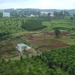  1030m2 - 5