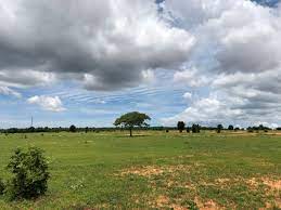 Bán đất giá thấp, hạ tầng đang được đầu tư mạnh, lợi thế về phát triển du lịch biển.