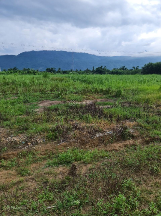 Bán đất giáp Sông Trò xã Khánh Hiệp rộng 20.000m2 giá rẻ, LH 0788 558 552