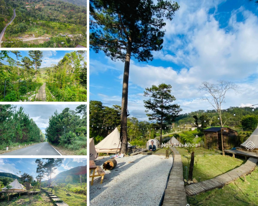 Bán đất làm Homestay, khu Tuyền Lâm, view Thông, Phường 3, Đà Lạt, 16 tỷ