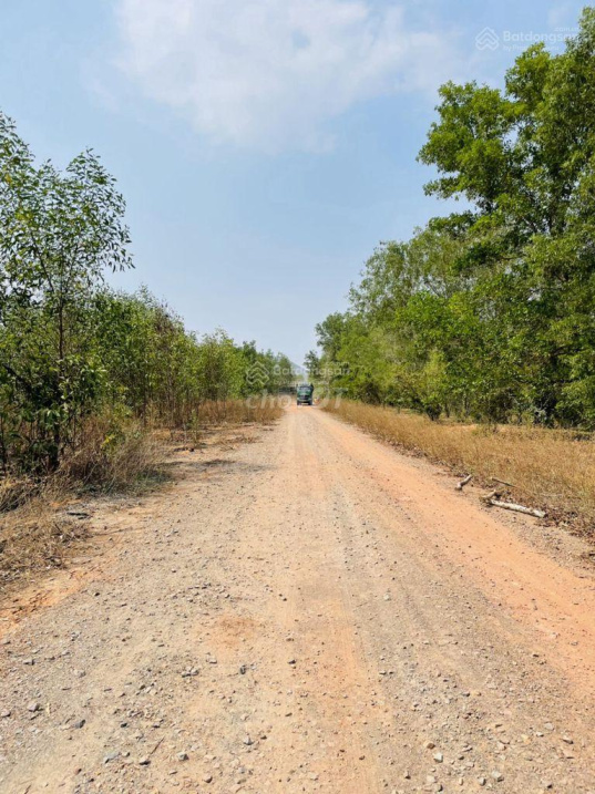 Bán đất sân bay Phan Thiết, 750tr/1000m2, sổ sẵn, không quy hoạch