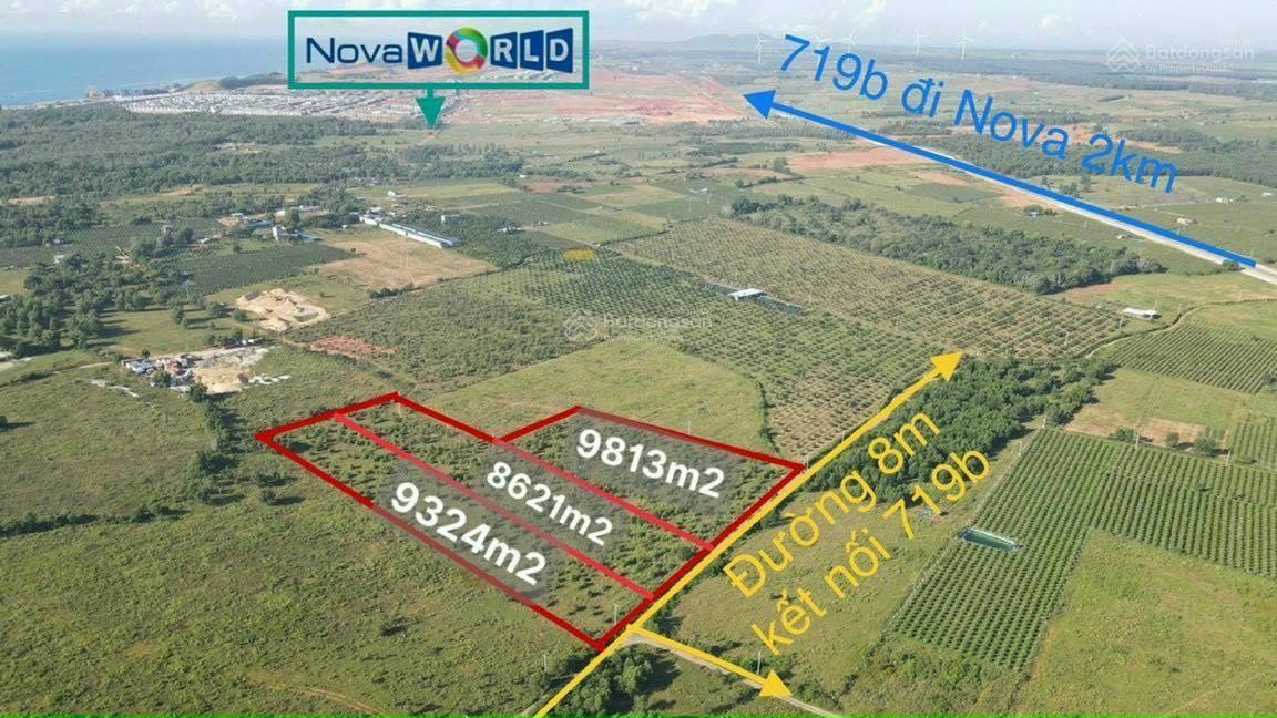 Bán đất sào giá rẻ khu vực Tiến Thành Bình Thuận. lh 0919 080 795 gặp linh để được hỗ trợ