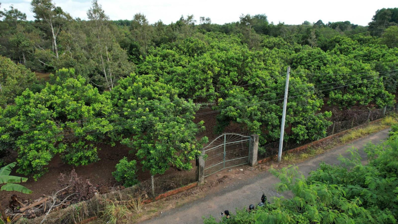 Bán đất sổ hồng hiếm có quy hoạch đất thương mại dịch vụ 2030 sát bên sân bay Long Thành 0908 113 111