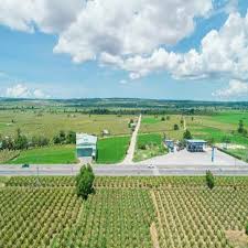 Bán đất trồng cây lâu năm Xã Bình Tân có sẵn sổ, không quy hoạch, không tranh chấp