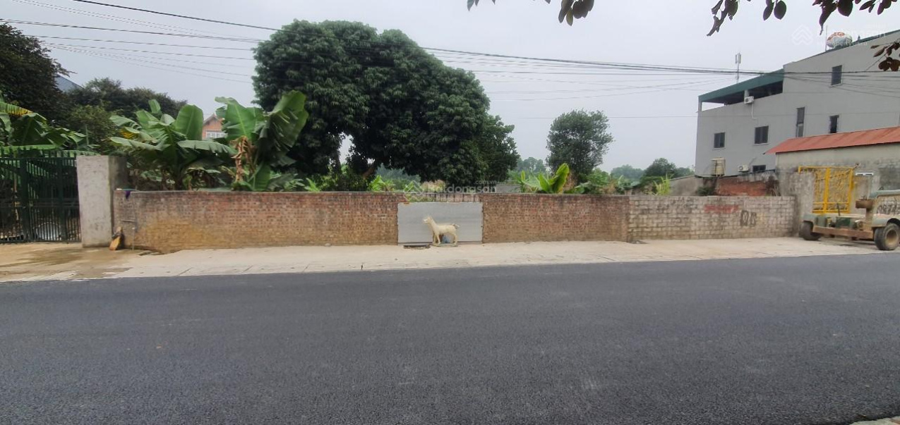 Bán đất trục chính cổ đông, 412m2 Sơn Tây, đường 15m, cách đại học FPT 3km, kinh doanh đông đúc