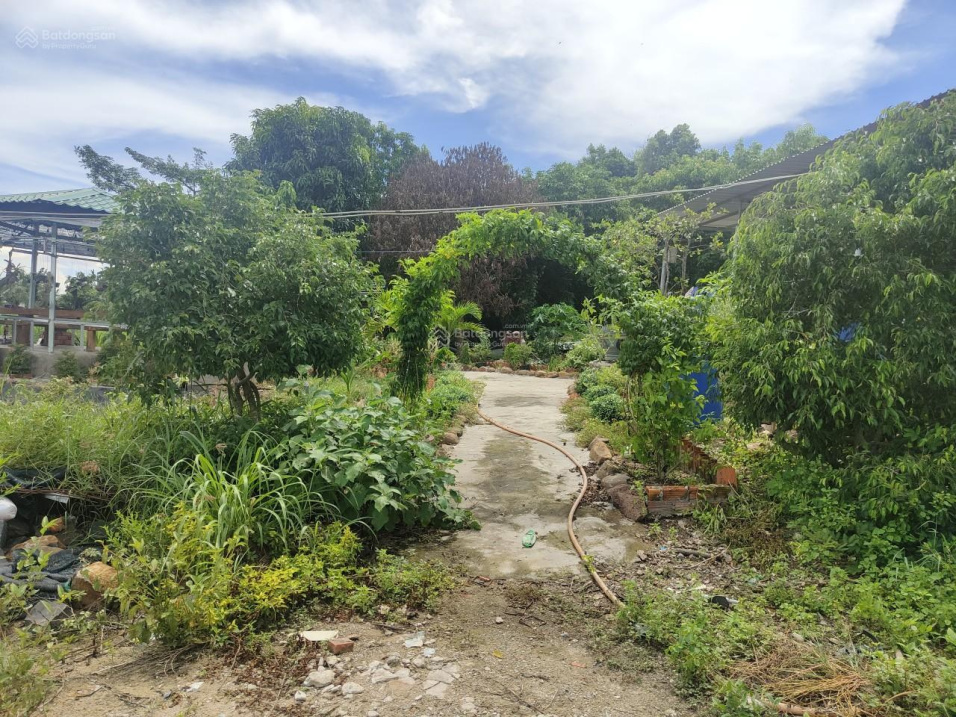 Bán đất vườn Bình Thuận giá rẻ 90tr/1000m2, LH: 0972 911 426