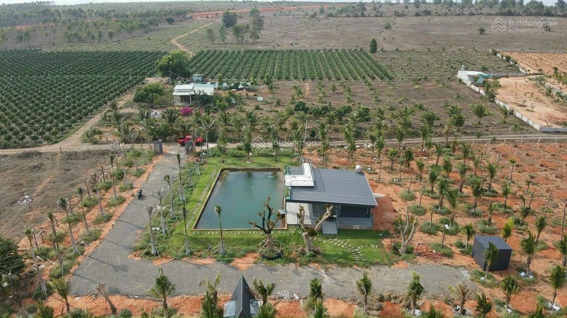 Bán đất vườn Hàm Thắng sau Hải Nam giá rẻ. Liên hệ 0919 080 795 gặp Linh