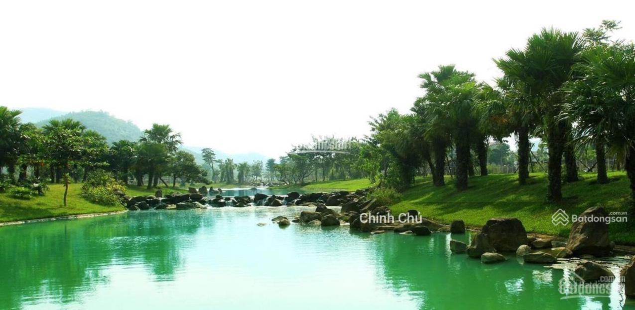 Bán gấp BT Xanh Villas view Suối Ngọc Vua Bà diện tích 225m2, xây dựng 2.5T, giá 11,8tỷ: 0981 162 525