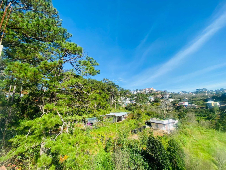 Bán gấp đất xây dựng tặng phần thô sát đồi thông view thung lũng Khe Sanh, Đà Lạt 648m2 chỉ 18.5 tỷ